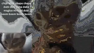 Minecraft Chipi Chipi Chapa Chapa 1 Hour for smooth brained single-celled organisms