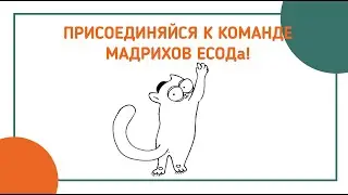 Школа мадрихов