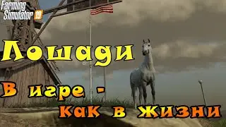 Farming Simulator 19 - Лошади. В игре - как в жизни.