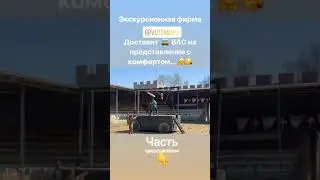 Замок 🏰 «Львиная голова» Рыцарский турнир 🏇🏻 🤺 Сукко . Экскурсии в Анапп.