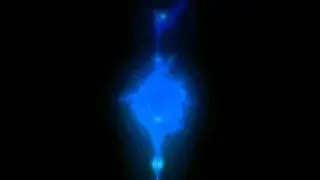 Pyramidal Cell Distant