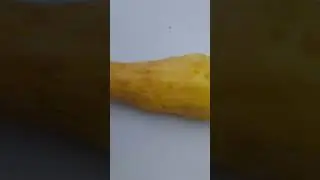 большой агурец