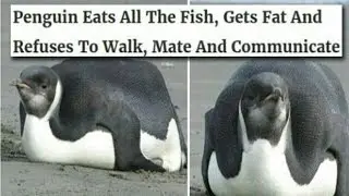 r/madlads Top Posts
