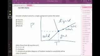 Unary phase diagrams and Gibbs phase rule