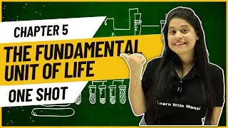 Fundamental Unit Of Life | One Shot | Class 9 Science