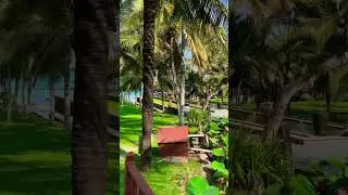 Nơi đây Relax được không ta 🤩😳