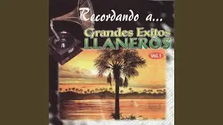 Traigo Polvo Del Camino