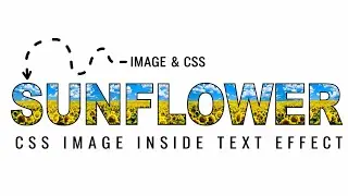 CSS Image Inside Text Effect Using HTML & CSS Only. 