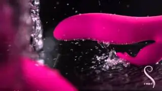 The Blossom Swan  | Rabbit Vibe