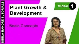 Plant Growth and Development | NEET | Basic Concepts | Neela Bakore Tutorials