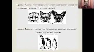 Абиотические факторы для ЕГЭ. ПОДРОБНО