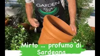 Tutorial sul trapianto - MIRTO