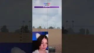 прогулки в полях полей 