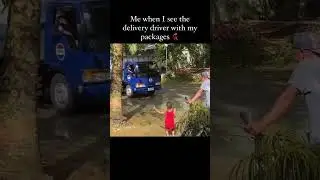 Memes in 2024 #meme #memes #short #shorts #reels #funny #relatable #animals #trending #viral