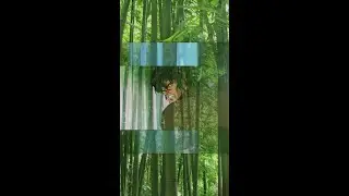 mr.dibiase - Samurai bump[87]