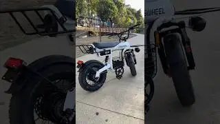 Testando minha Bike Eletrica de 1000w T16 COSWHEEL