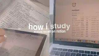 how i study using active recall with notion ⏰ a 6 step revision process