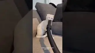 Лайк   #джавид #озвучка #джавидозвучка #озвучкаотджавида