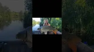 Карпфішинг - це не просто хоббі, це сенс життя! #carpfishing #рибалка #трофей #короп #природа