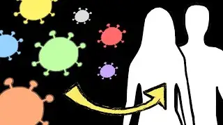 ¿Quién nos protege? | Sistema Inmunitario | Introducción