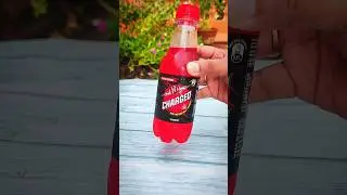 Instant Charged popsicle | strawberry popsicle #ytshorts #shorts #viral #trending #summer