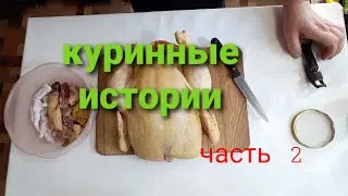 супчик из потрошков. готовим курицу.