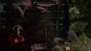 Skyrim_Vampire bat form execution
