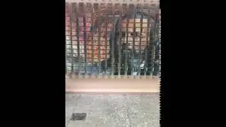 Поворотная квест-стена Менделеев I Новация