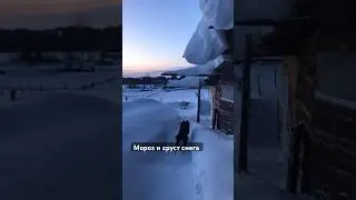 #sheep