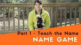 How to Teach Your Dog the Name Game - Introduce the Name