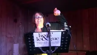 Henchmen Wanted by Rhys Timson, read by Lisa Rose