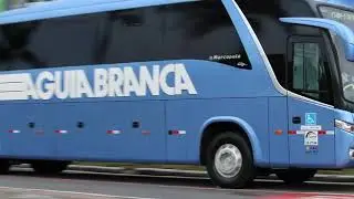 AGUIA BRANCA 21320