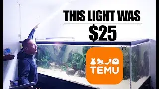 I BUILD THE CHEAPEST AQUARIUMS WITH TEMU UNDER $250| The king of DIY