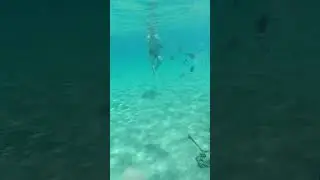 красное море