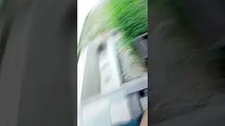 два сумасшедших