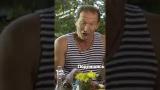 #сваты
