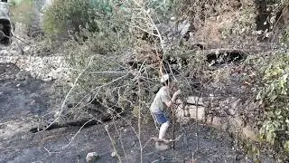 The day after a fire