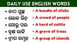 Collective Noun words |Daily use english words