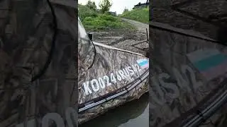 26 мая 2024 г.