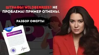Штрафы Wildberries Не проблема! Пример отмены  Разбор оферты