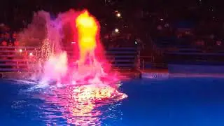 SHAMU SHOW GOES COMPLETELY WRONG! SEAWORLD SAN ANTONIO