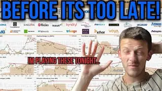 WATCH RIGHT NOW MEMBERS