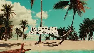 Vibe Chemistry & Archie - Something Different