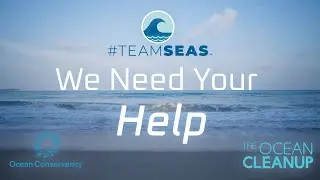 #TeamSeas - We Need Help!