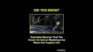 Did You Know? | #5 | 