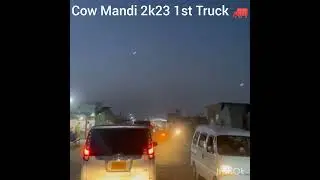 Cow Mandi | Cattle Market | Cow Mandi karachi | Cow Mandi Vlog | Cow Mandi Update | Northern ByPass