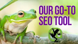 Our Go-To Technical SEO Tool - Screaming Frog Demo