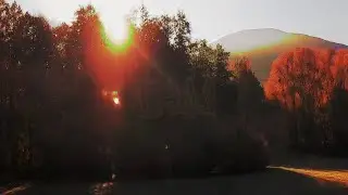 The Owl 'Pinnacle' video