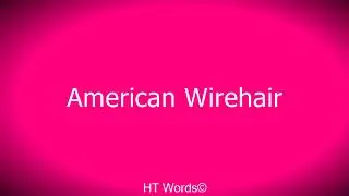 Pronunciation of American Wirehair