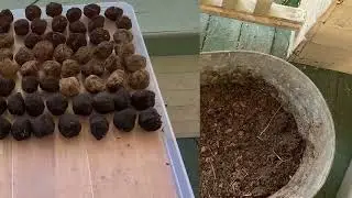 Getting ready for autumn￼